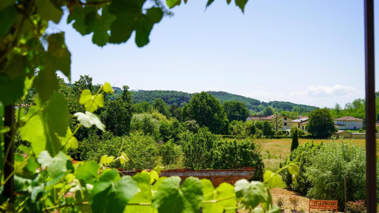 Wine House Bed and Breakfast Capannori Buitenkant foto