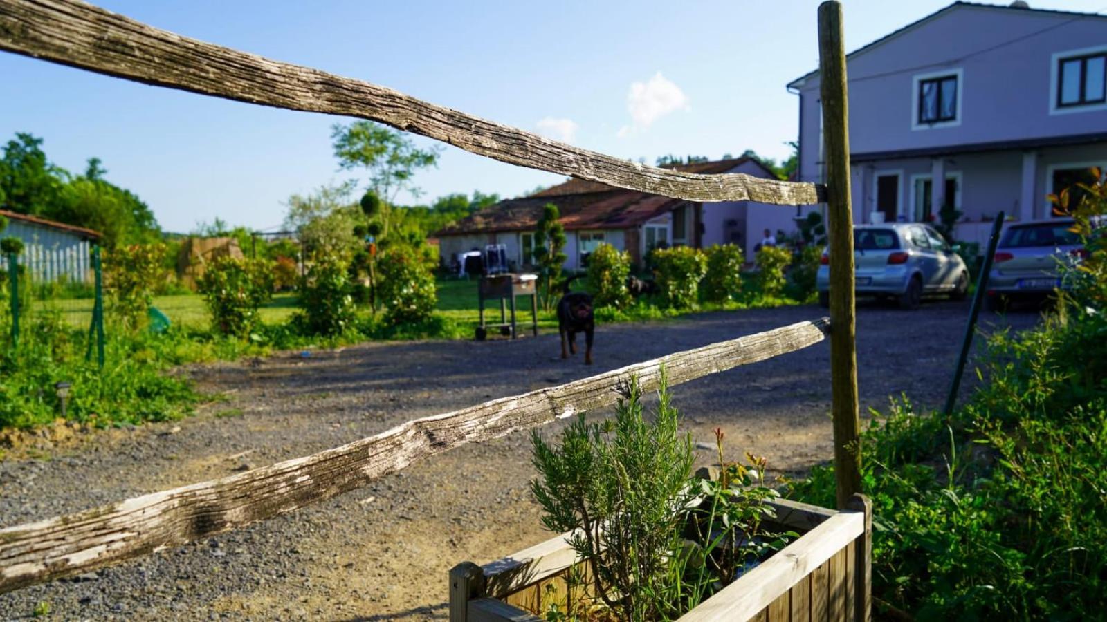 Wine House Bed and Breakfast Capannori Buitenkant foto