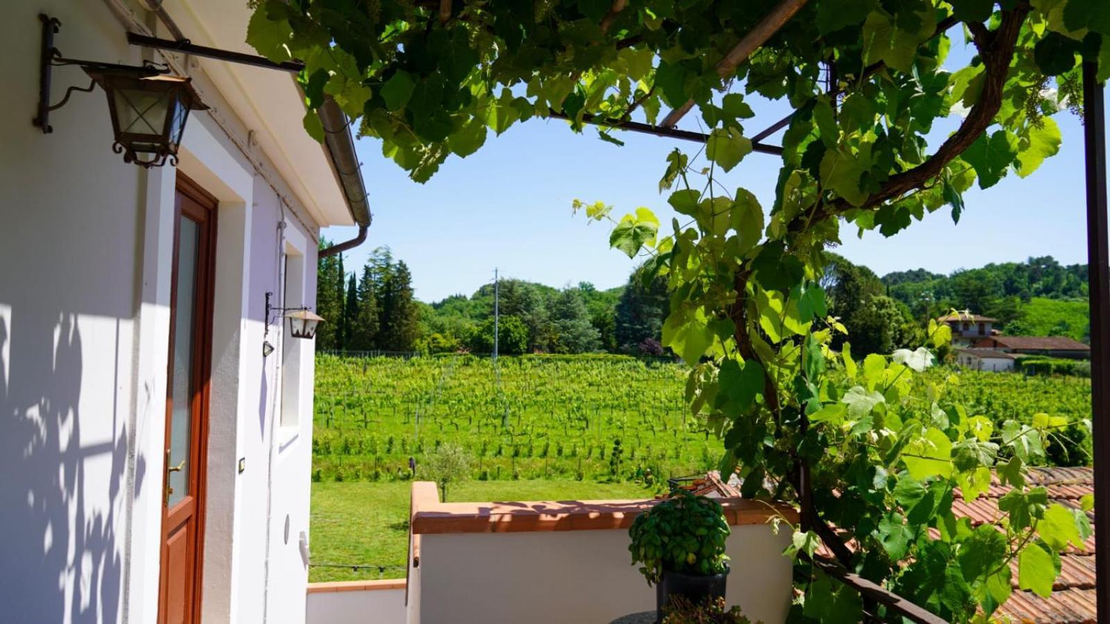 Wine House Bed and Breakfast Capannori Buitenkant foto
