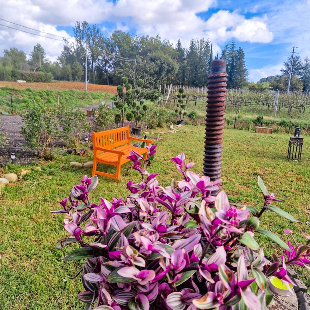 Wine House Bed and Breakfast Capannori Buitenkant foto