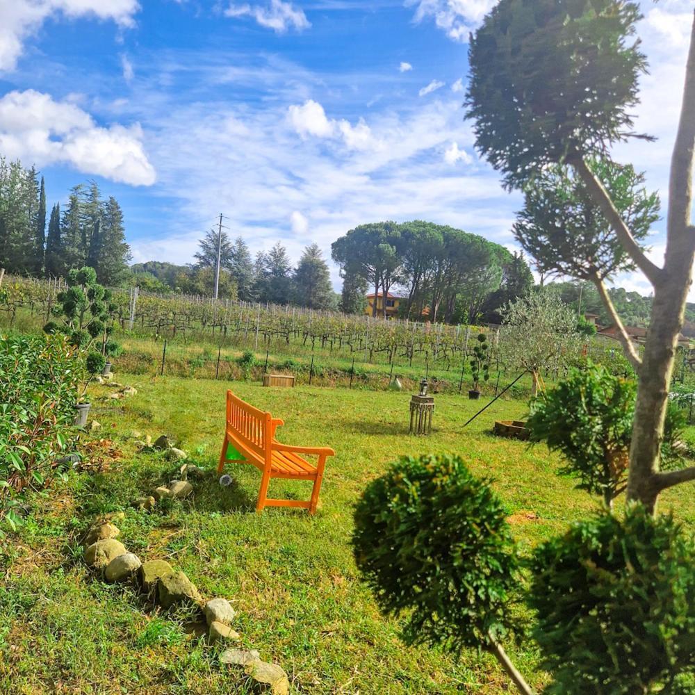 Wine House Bed and Breakfast Capannori Buitenkant foto