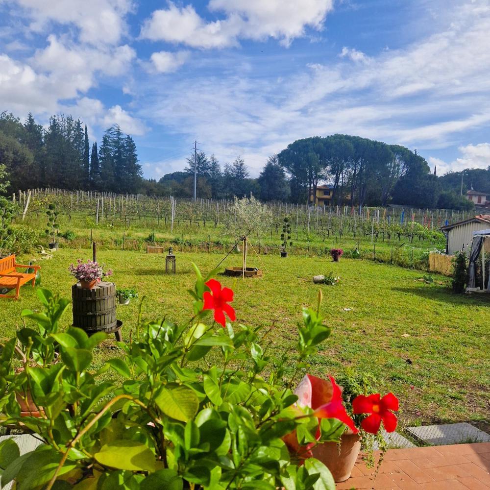 Wine House Bed and Breakfast Capannori Buitenkant foto