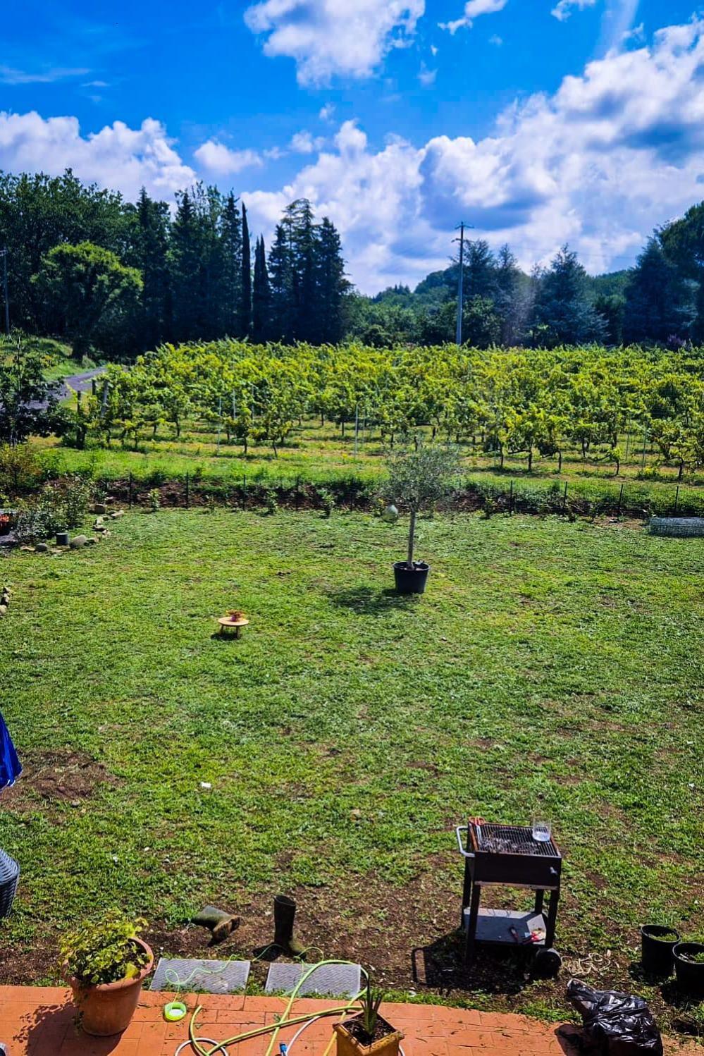 Wine House Bed and Breakfast Capannori Buitenkant foto