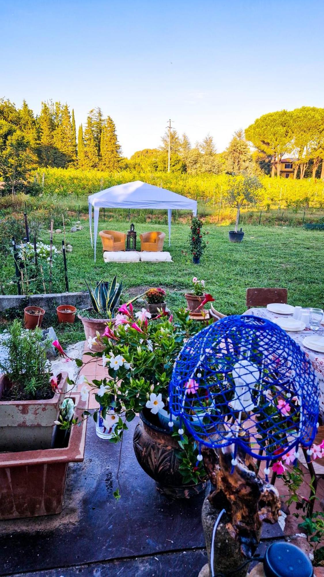 Wine House Bed and Breakfast Capannori Buitenkant foto