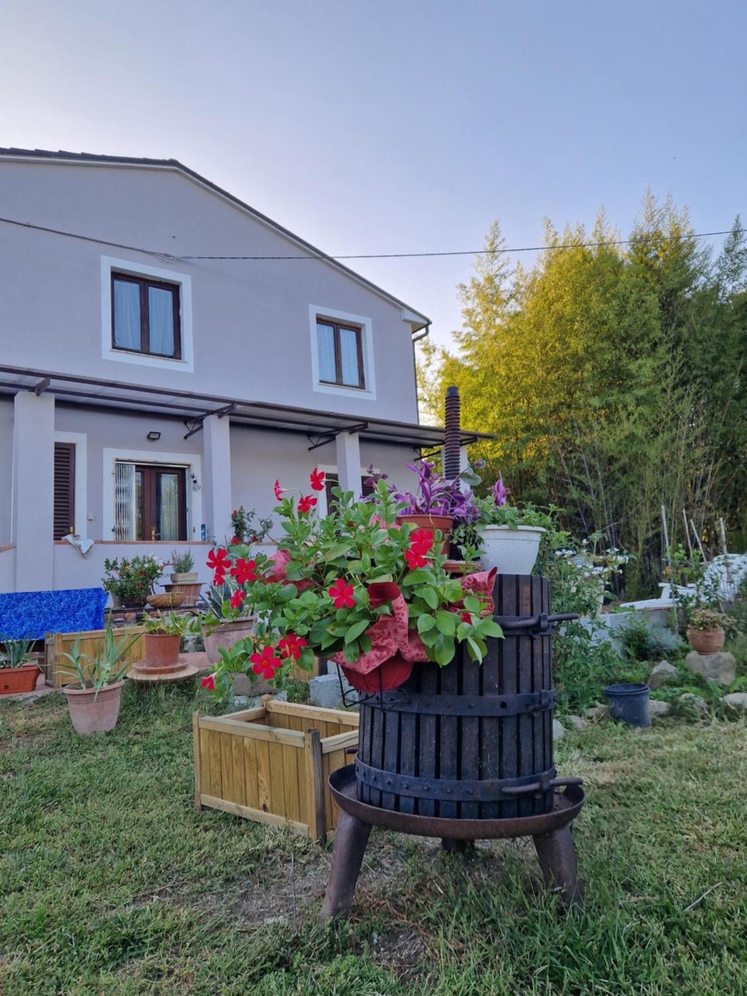 Wine House Bed and Breakfast Capannori Buitenkant foto